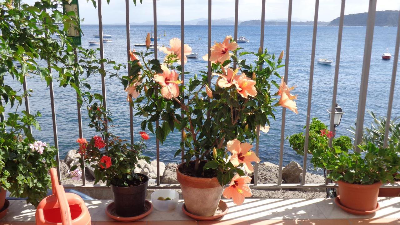 Bed and Breakfast I Cinque Sensi à Ischia Chambre photo